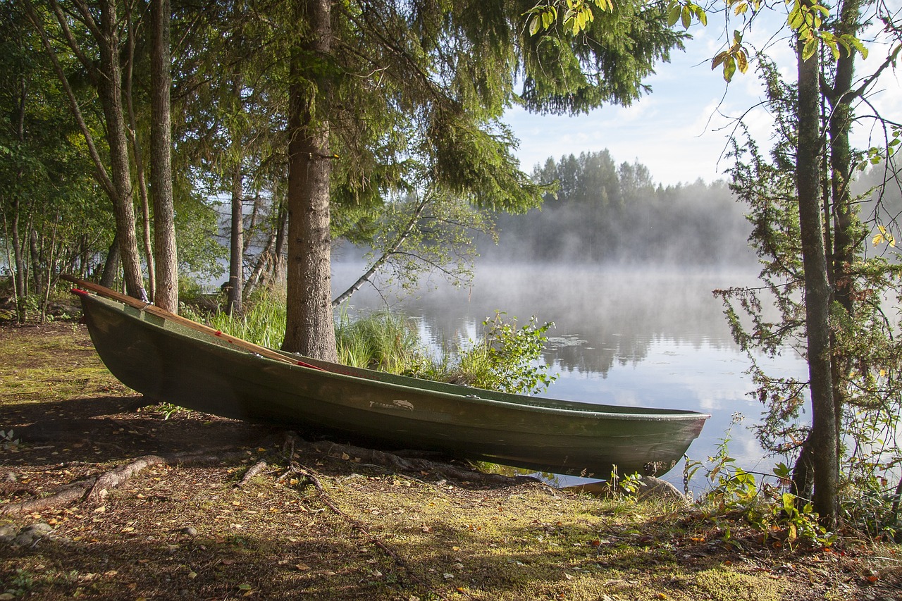 boat, river, forest