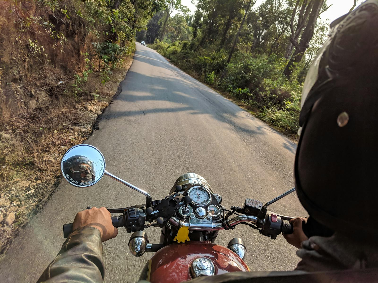 Motorcyclist riding on a scenic forest road, capturing adventure and freedom.